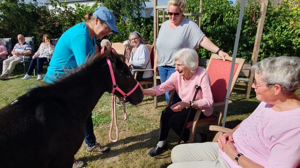 Eine ältere Dame streichelt vorsichtig ein Pony und mehrere andere sehen zu.