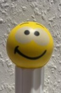 Ein Bild von der Fachkraft Selina Tanner