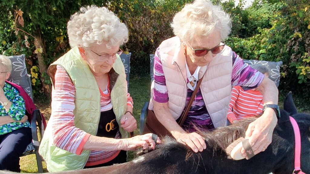 Zwei ältere Frauen striegeln gemeinsam ein Pony